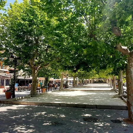 3 Pieces Avec Parking, Animaux Admis, - Fr-1-251-374 Le Lavandou